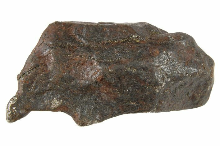 Canyon Diablo Iron Meteorite ( g) - Arizona #262878